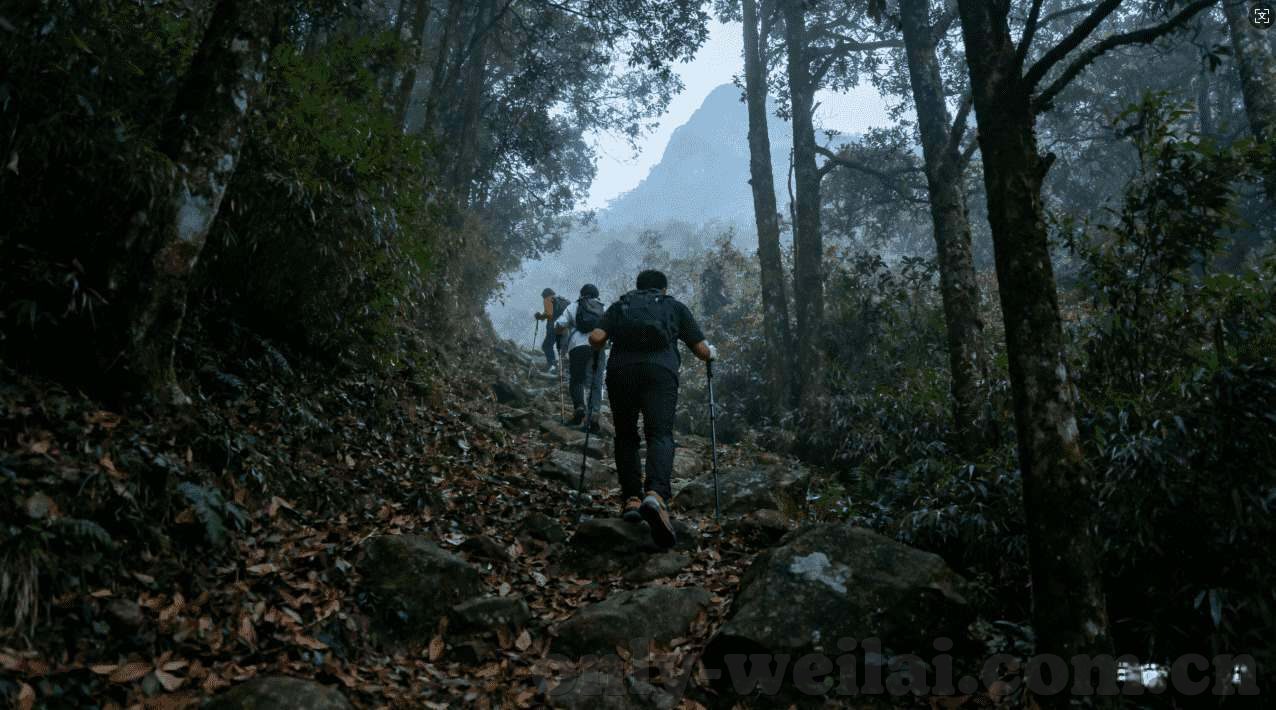 世界杯球队和博彩公司-世界杯球队与博彩公司的微妙关系